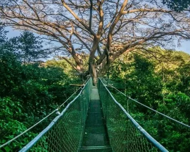 buena-vista-one-day-aventure-tour-1