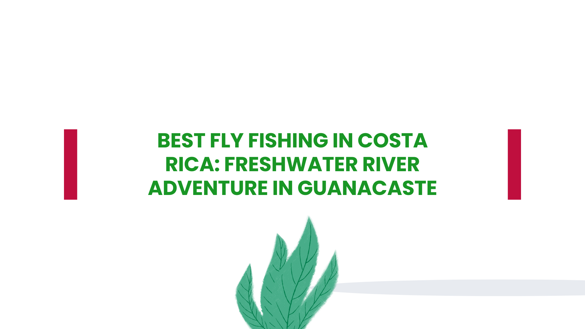 Best Fly Fishing in Costa Rica: Freshwater River Adventure in Guanacaste