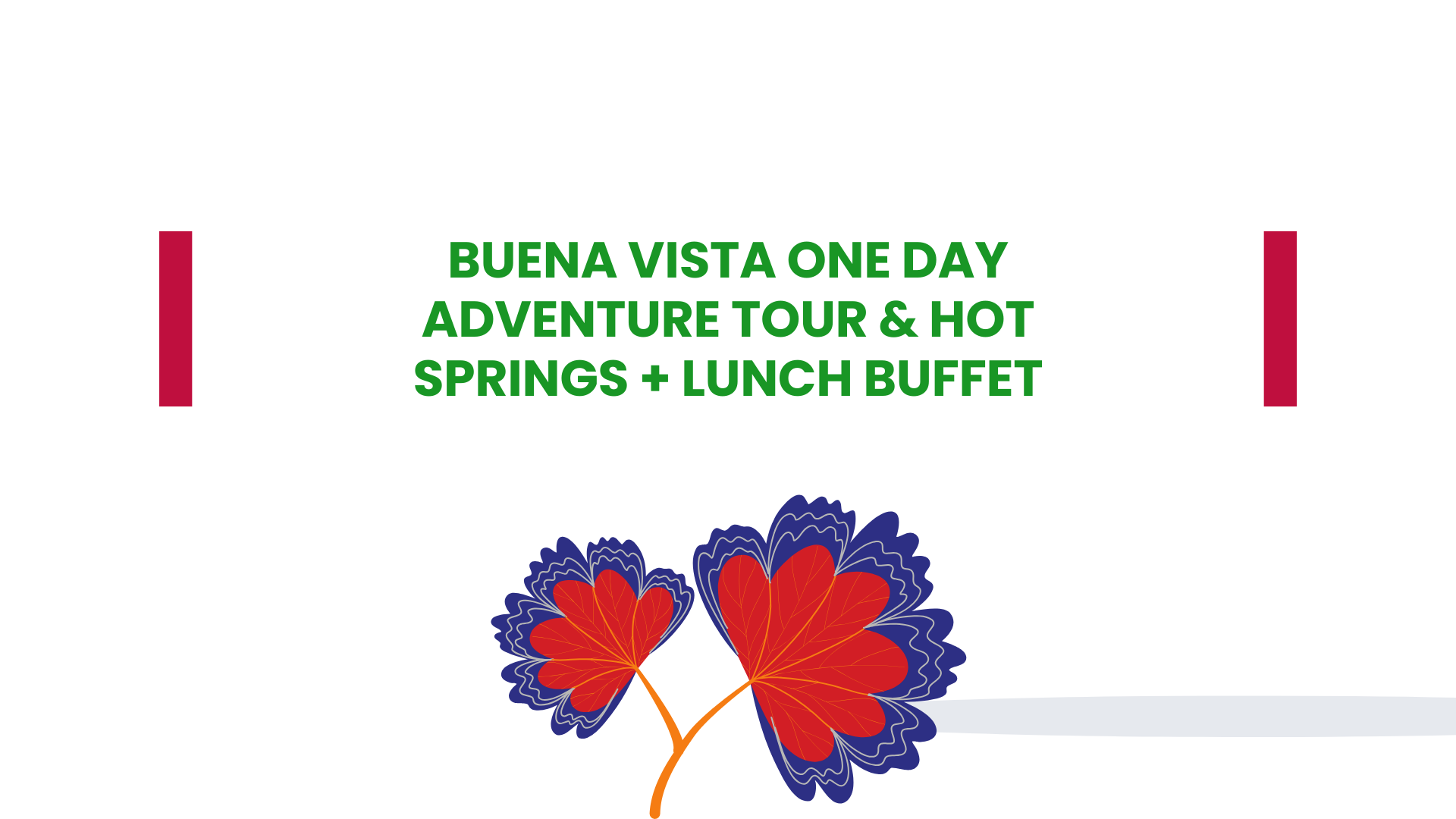 Buena Vista One Day Adventure Tour & Hot Springs + Lunch Buffet