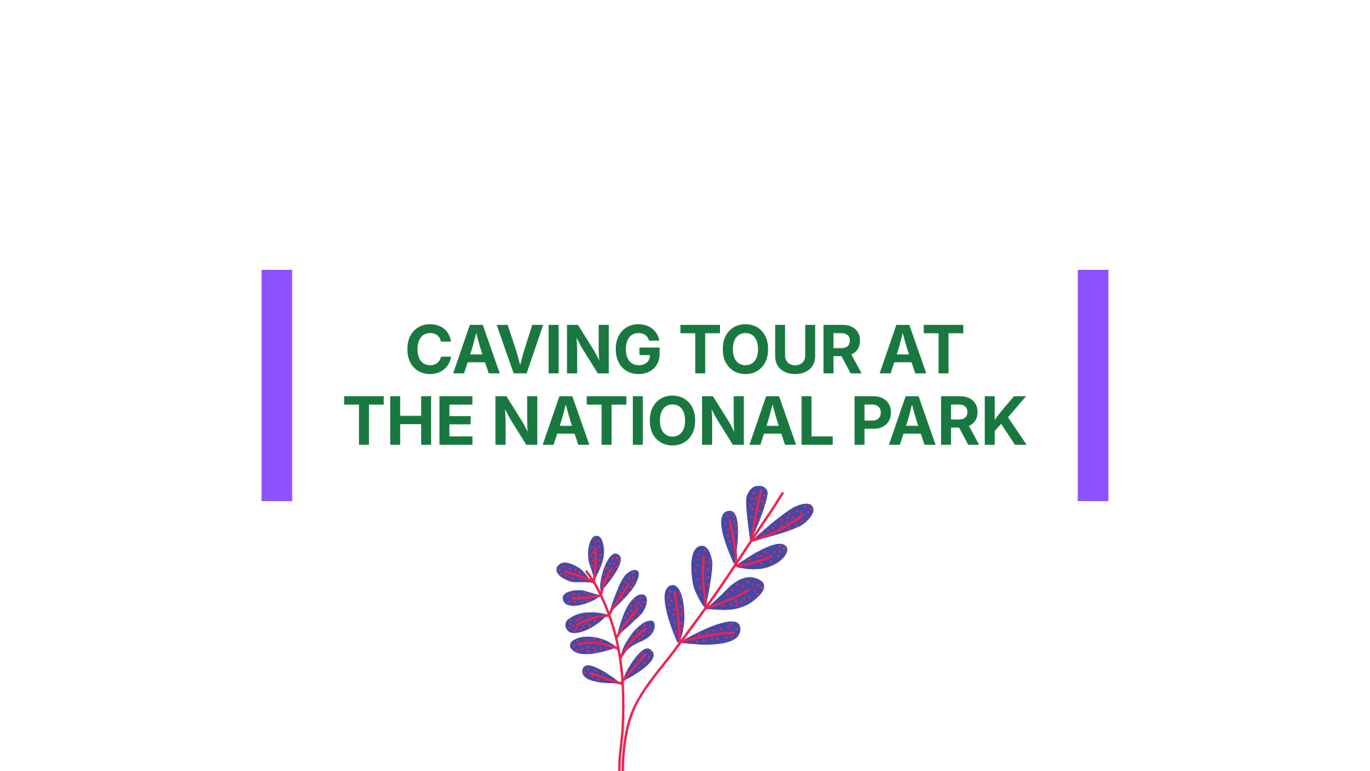 Caving Tour at the National Park