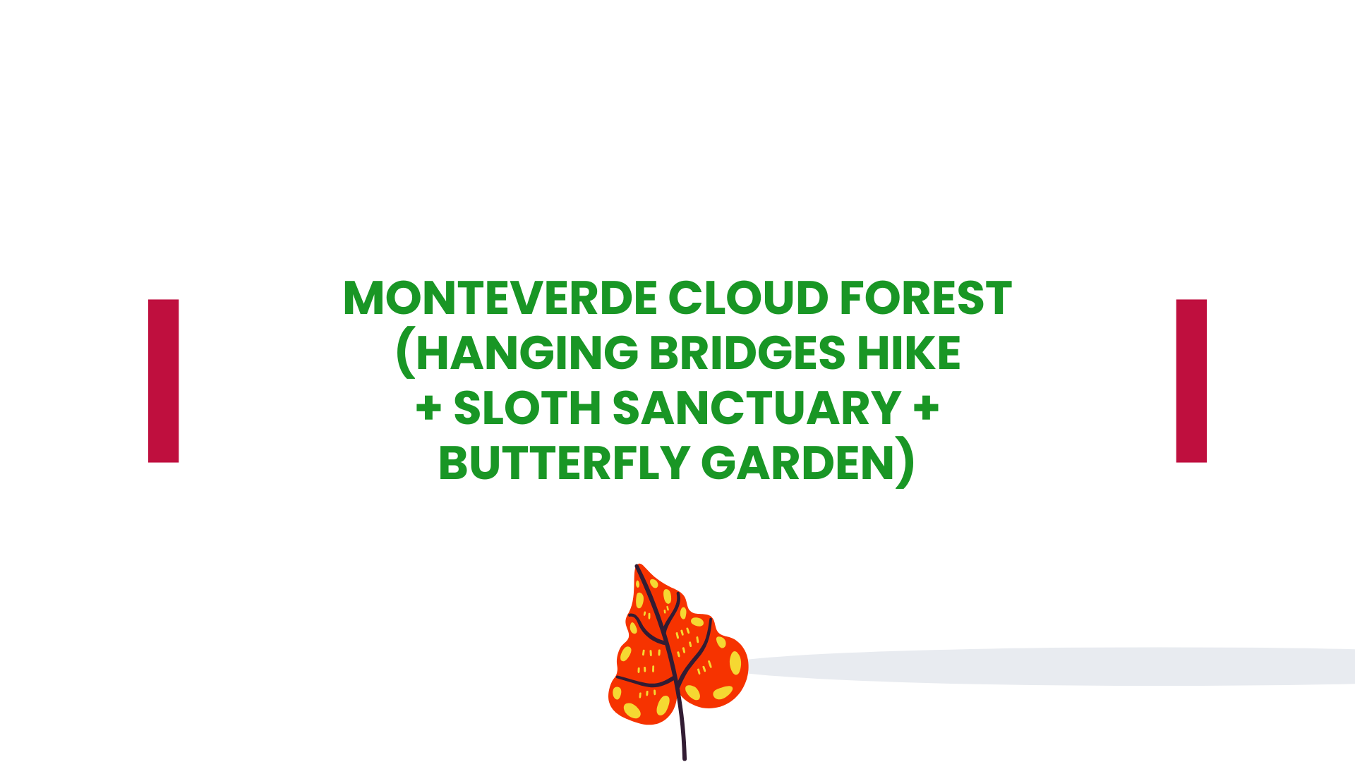 Monteverde Cloud Forest (Hanging Bridges Hike + Sloth Sanctuary + Butterfly Garden)