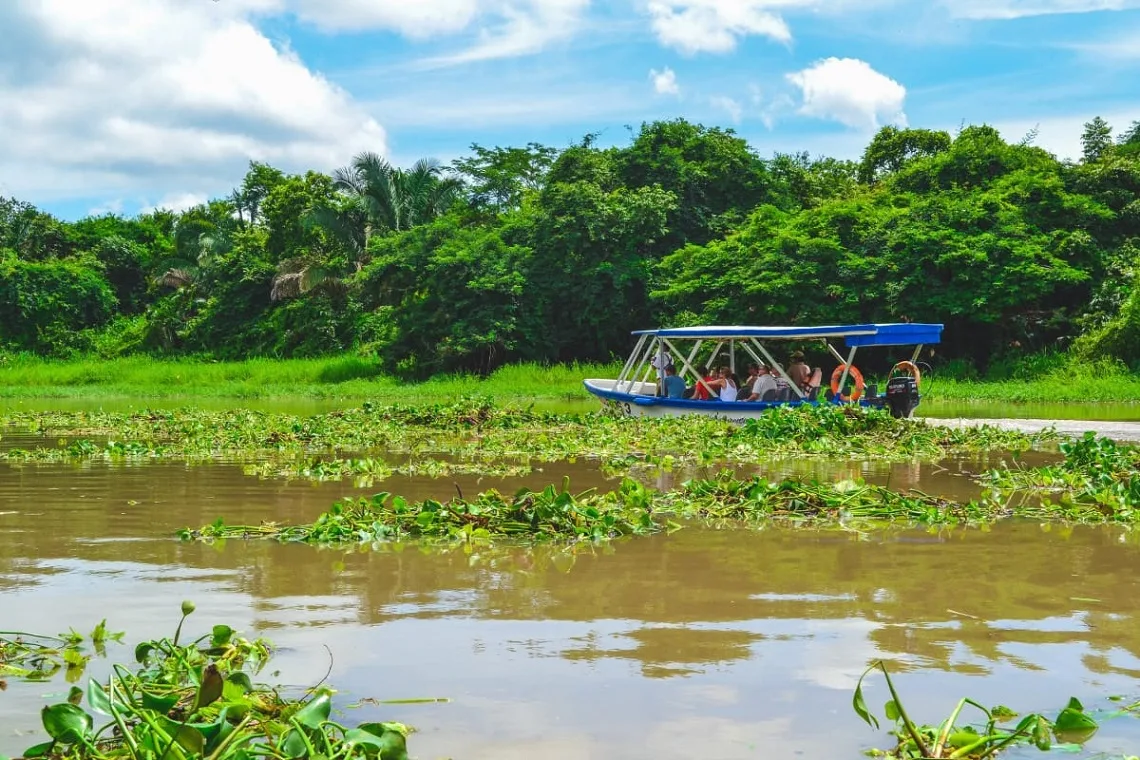 national park and wildlife